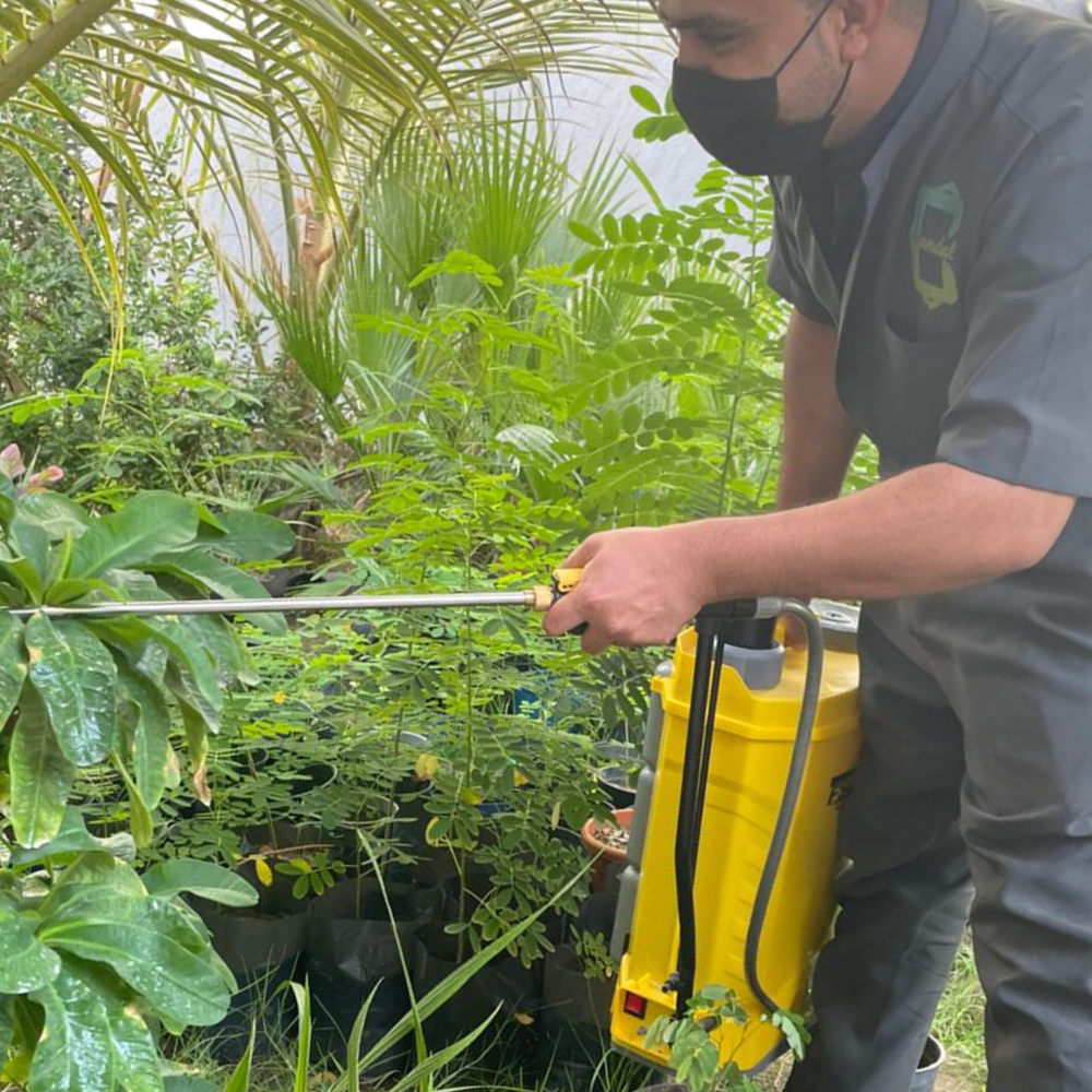 حديقة أحلامك تتحقق