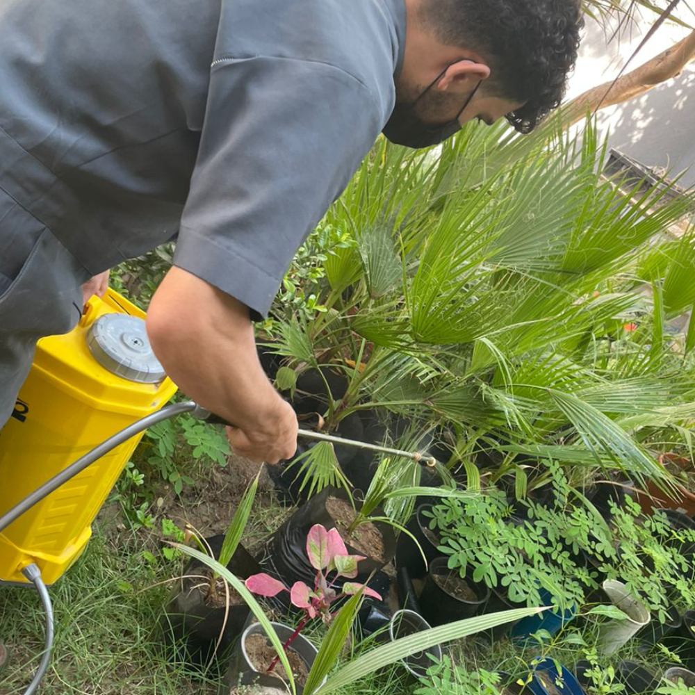 حديقة أحلامك تتحقق