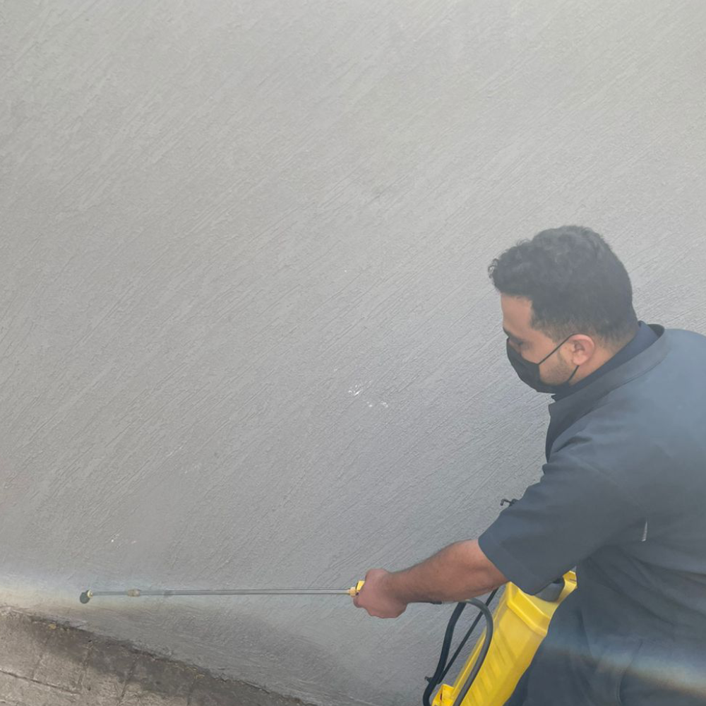 حديقة أحلامك تتحقق